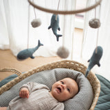 Mobile-Wal-Trixie-von-oben-mit-Kind