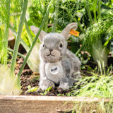 Sitzender Hase Dormili von Steiff_21 cm_im Garten