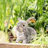 Sitzender Hase Dormili von Steiff_21 cm_im Garten02