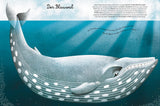 Das groβe Buch der Seetiere. Das kleine Buch der Seetiere von Cristina Banfi und Francesca Cosanti_White Star Verlag_Seitenansicht_02