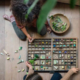 Kinder sortieren Forest Tree Holzbäume von Grapat