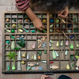 Kind sortiert Forest Tree Holzbäume von Grapat