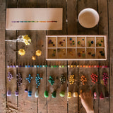 Mis & Match Holz-Sortierset von Grapat nach Farben sortiert