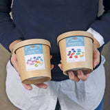 Verpackungen der Bauringe Pastell und Regenbogen von Grimm's