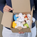 Sechs bunte Holzautos von Grimm's in Verpackung