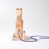 Nachziehtier | Pferd Holly