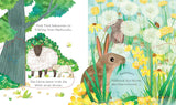 Guck mal, wer da ist! Im Frühling von Anna Milbourne und Stephanie Fizer Coleman_Usborne Verlag_Seitenansicht02