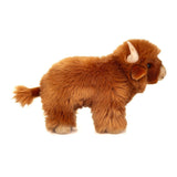 Hochlandrind von Hermann Teddy_Ansicht von der Seite