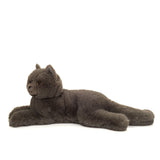 Kartäuserkatze liegend von Hermann Teddy_02