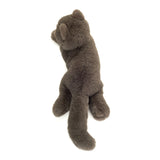 Kartäuserkatze liegend von Hermann Teddy_03