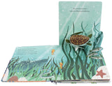 Mein Pop-up-Buch zum Staunen. Wer lebt im Meer? von Sandra Grimm_DK Verlag_Seitenansicht01