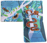 Mein Pop-up-Buch zum Staunen. Wer lebt im Regenwald?_DK Verlag_Seitenansicht01