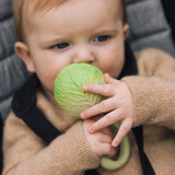 Kleinkind hält Weißkohl Beissring und Rassel von Oli & Carol