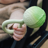 Kind hält Weisskohl Beissring und Rassel von Oli & Carol