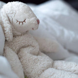 Nahaufnahme Kleines Schaf Kuscheltier und Wärmekissen von Senger Naturwelt