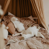 Kleines Schaf Kuscheltier und Wärmekissen von Senger Naturwelt mit Gans auf Bett liegend