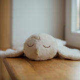 Schneeeule von Senger Naturwelt