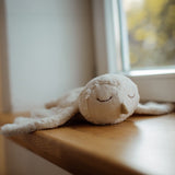 Schneeeule von Senger Naturwelt in Schrägansicht