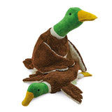 Großer und kleiner Erpel von Senger Naturwelt