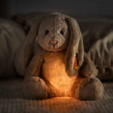 Hase Hoppie | Light at Night