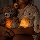 Hase Hoppie | Light at Night