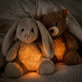 Hase Hoppie | Light at Night