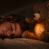 Teddybär Caspar | Light at Night