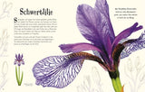 Wundervolle Welt der Natur von Ben Hoare_DK Verlag Dorling Kindersley_Seitenansicht 3