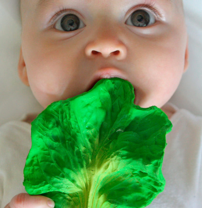 Baby kaut an Beiß- und Badespielzeug Grünkohlblatt Kendall the Kale von Oli & Carol