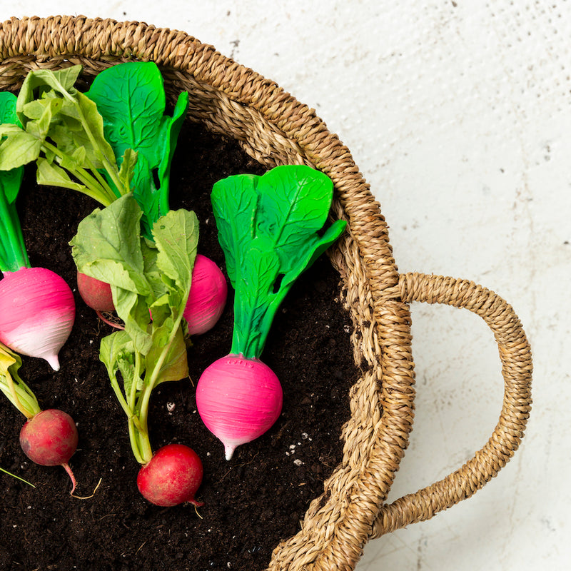 Beißspielzeug Ramona the Radish von Oli & Carol mit echten Radieschen