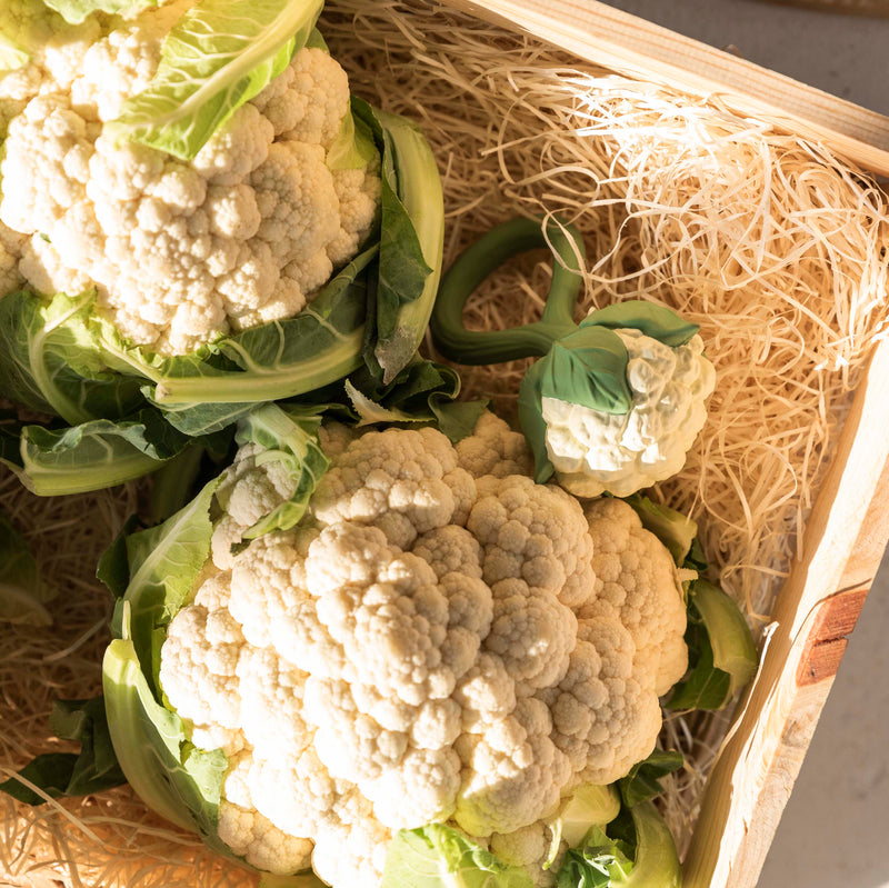 Blumenkohl Rassel und Beissring von Oli & Carol in Korb mit echtem Blumenkohl