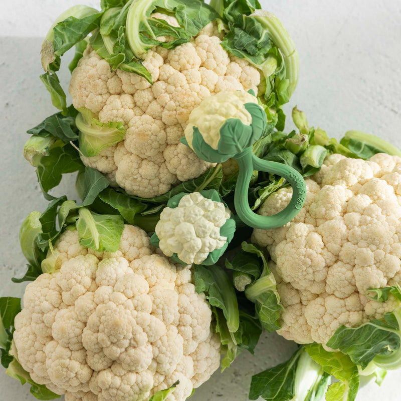 Blumenkohl Rassel und Beissring von Oli & Carol mit echtem Blumenkohl