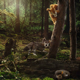 Eichhönchen Niki von Steiff_im Wald