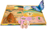 Das unglaubliche Pop-up-Buch Insekten von Ben Hoare und Jasmine Floyd_arsedition_Seitenansicht