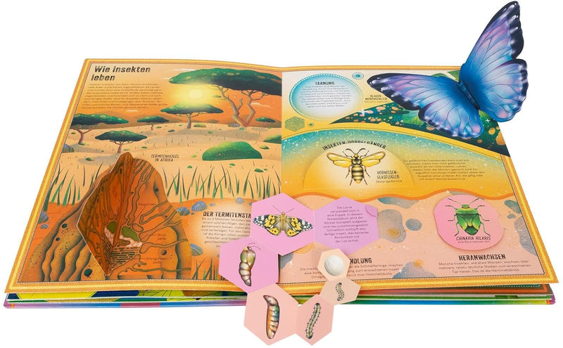 Das unglaubliche Pop-up-Buch Insekten von Ben Hoare und Jasmine Floyd_arsedition_Seitenansicht