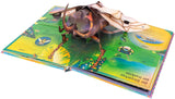 Das unglaubliche Pop-up-Buch Insekten von Ben Hoare und Jasmine Floyd_arsedition_Seitenansicht_02