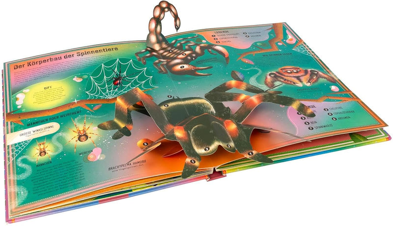 Das unglaubliche Pop-up-Buch Insekten von Ben Hoare und Jasmine Floyd_arsedition_Seitenansicht04