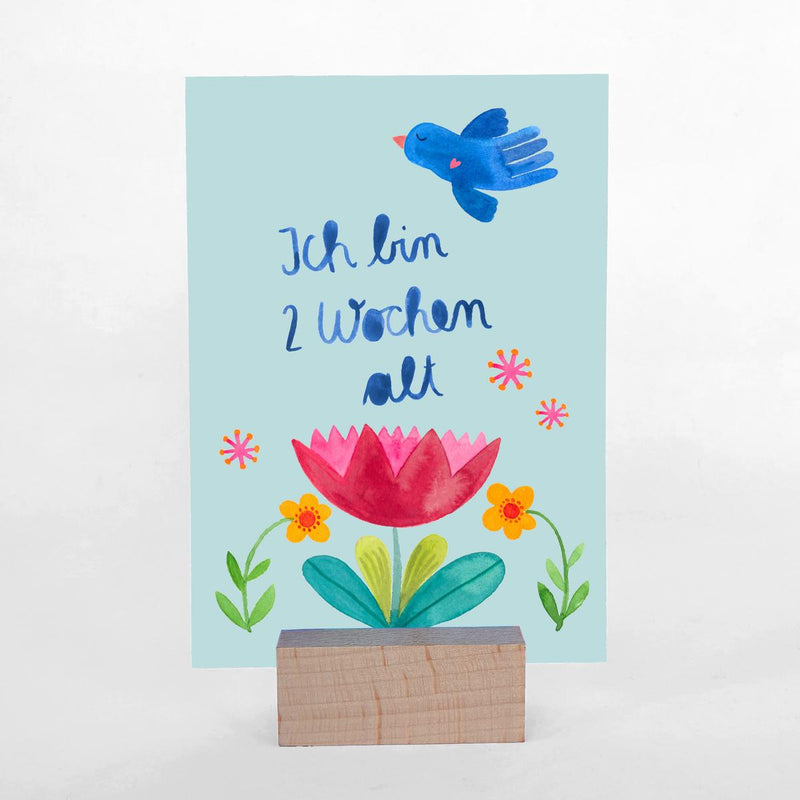 Hallo große weite wunderschöne Welt_Babymeilensteinkarten von Frau Ottilie_Beispiel03