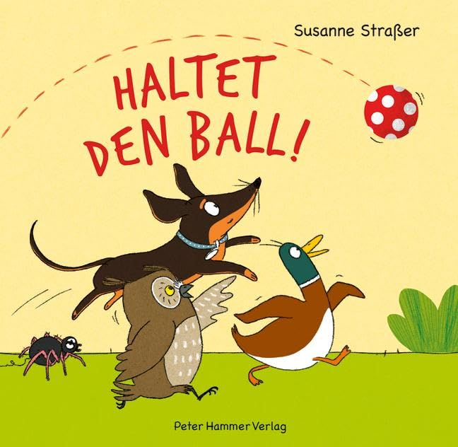 Haltet den Ball von Susanne Straßer_Peter Hammer Verlag_Buchcover