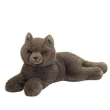 Kartäuserkatze liegend von Hermann Teddy_01