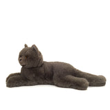 Kartäuserkatze liegend von Hermann Teddy_02