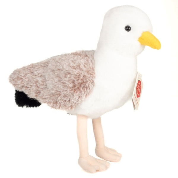 Möwe von Hermann Teddy