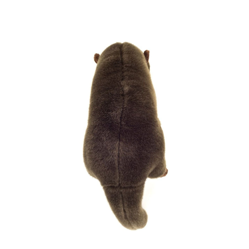 Otter von Hermann Teddy_von hinten