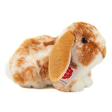 Widderkaninschen von Hermann Teddy_01