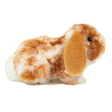 Widderkaninschen von Hermann Teddy_02