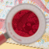 Detailansicht von Entdeckerpuzzle "Discover the Dinosaurs" von Londji mit Lupe