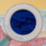 Detailansicht von Entdeckerpuzzle "Discover the Dinosaurs" von Londji mit Lupe