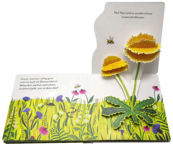 Mein Pop-up-Buch zum Stainen_Wo kommst du her, kleiner Löwenzahn von Sandra Grimm_DK Verlag_Seitenansicht01