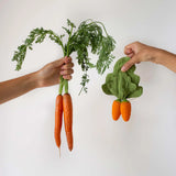 Mini Doudou & Beißring Cathy the Carrot von Oli & Carol_06