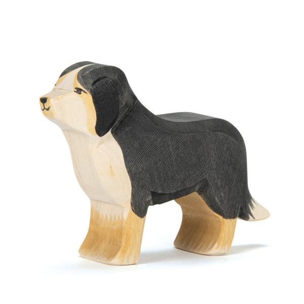 Berner Sennhund von Ostheimer